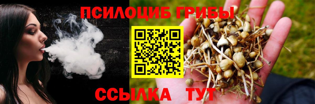 Галлюциногенные грибы GOLDEN TEACHER Евпатория
