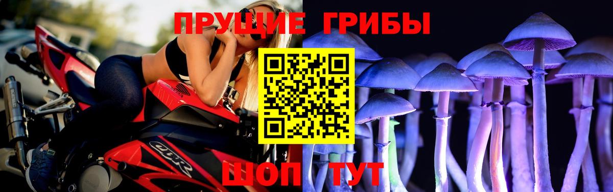 Галлюциногенные грибы ЛСД  Вход с VPN  Галлюциногенные грибы Cubensis  Евпатория 